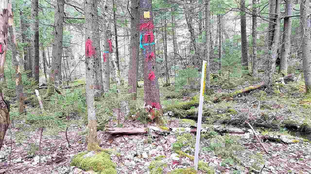 488 Kennedy Road Granville, VT 05747 - Photo 37 of 40