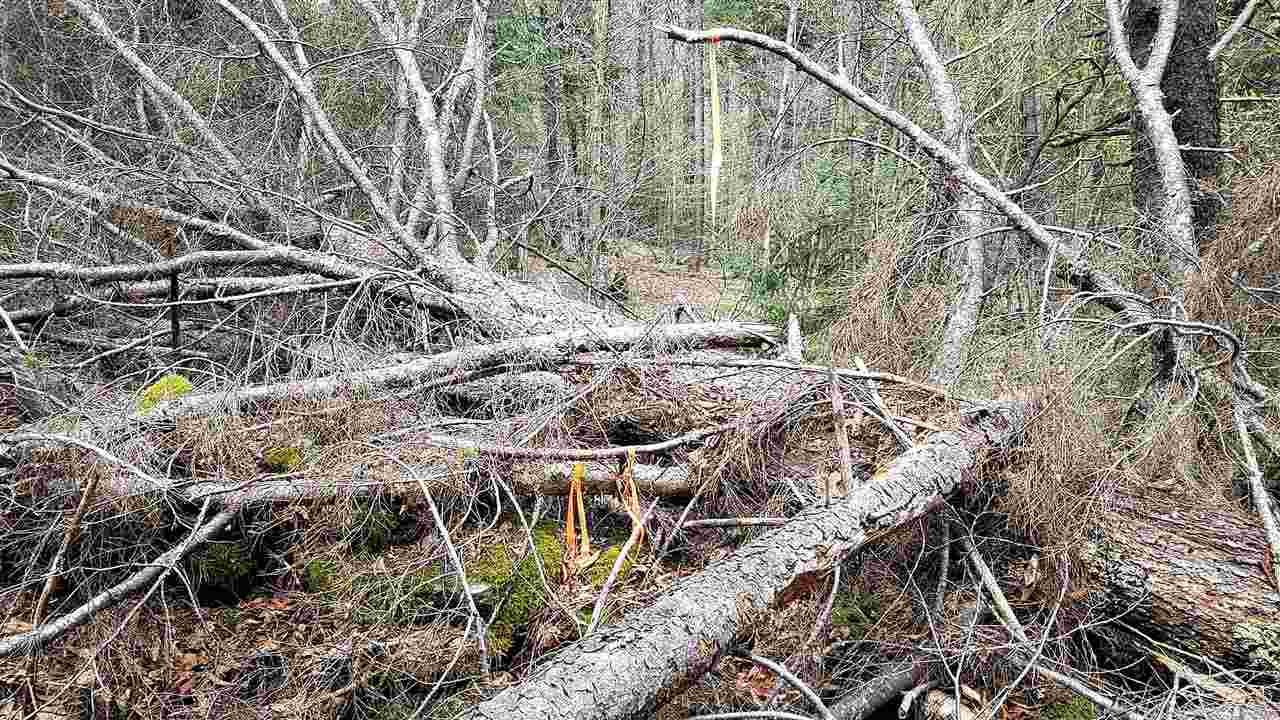 488 Kennedy Road Granville, VT 05747 - Photo 39 of 40