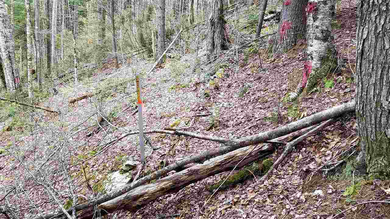 488 Kennedy Road Granville, VT 05747 - Photo 40 of 40