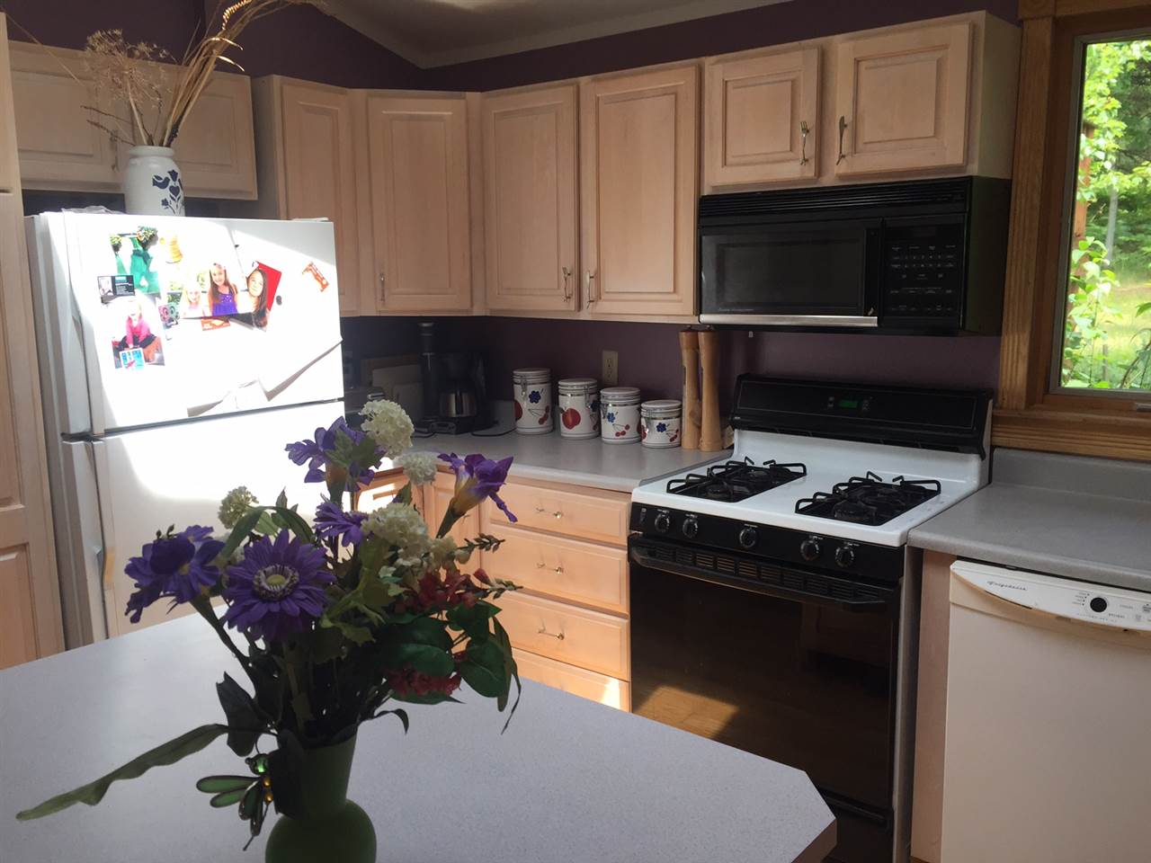 7312 South Seeley Road Cadillac, MI 49601 - Photo 62 of 97 1834160-61.JPG