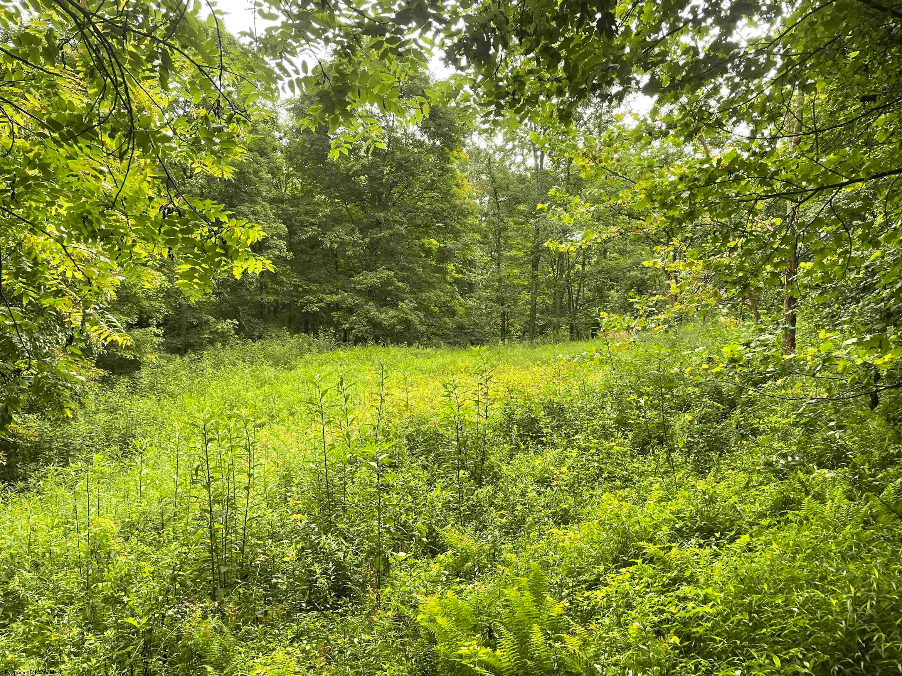 Tbd Little Mill Fall Road Fairmont, WV 26554 - Photo 16 of 20 Gallery Image 16