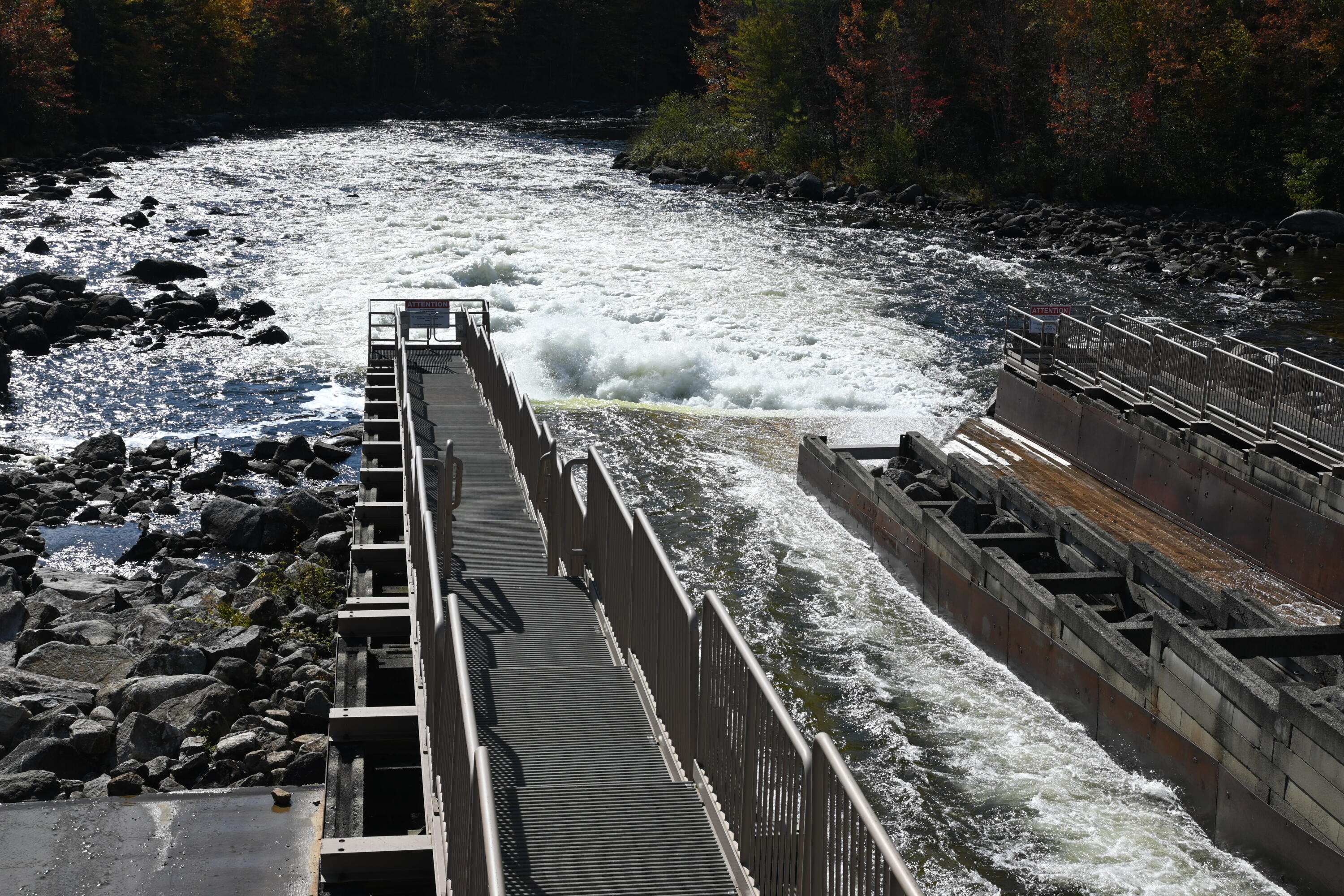 Lot C Lot C Middle Dam Rapids Andover, ME 04216 - Photo 39 of 62 DSC_0475