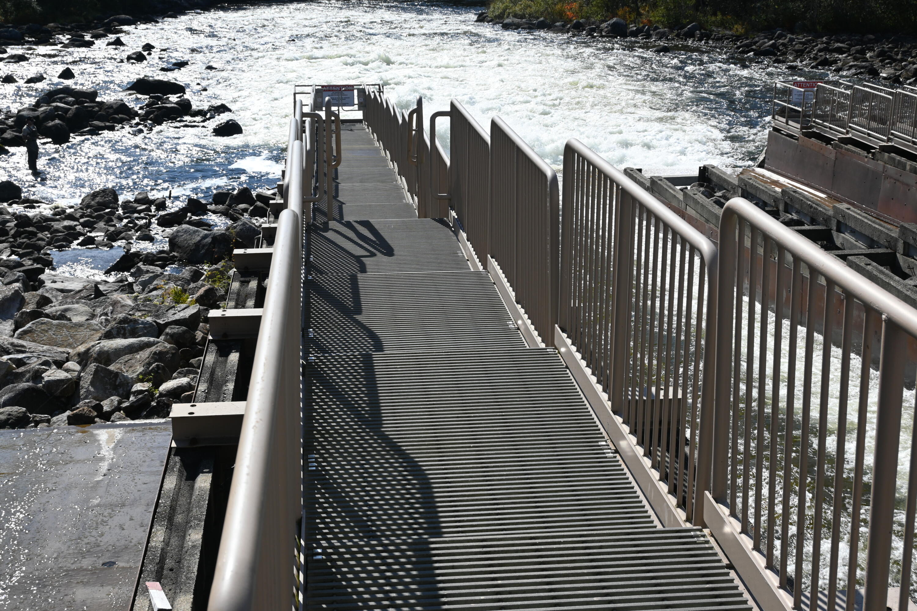 Lot C Lot C Middle Dam Rapids Andover, ME 04216 - Photo 40 of 62 DSC_0476