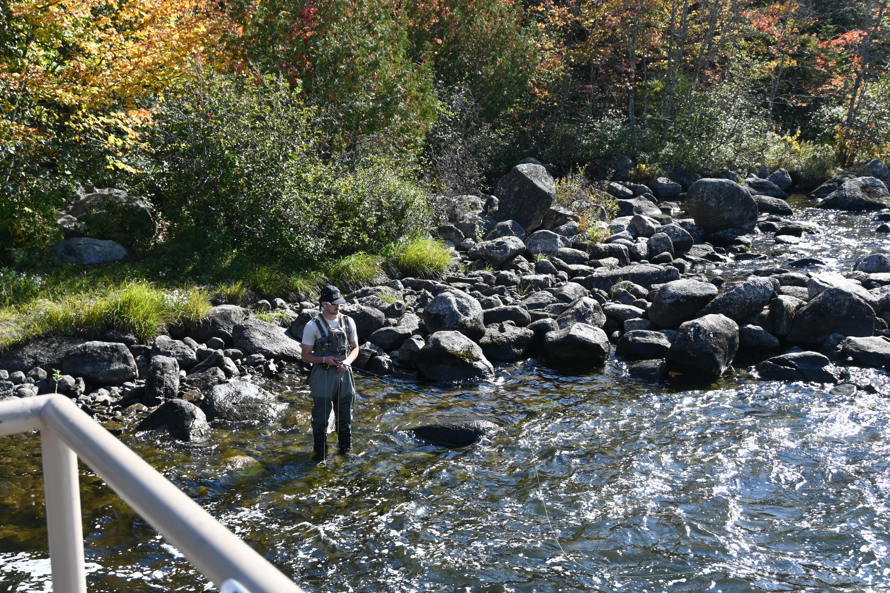Lot C Lot C Middle Dam Rapids Andover, ME 04216 - Photo 41 of 62 DSC_0479