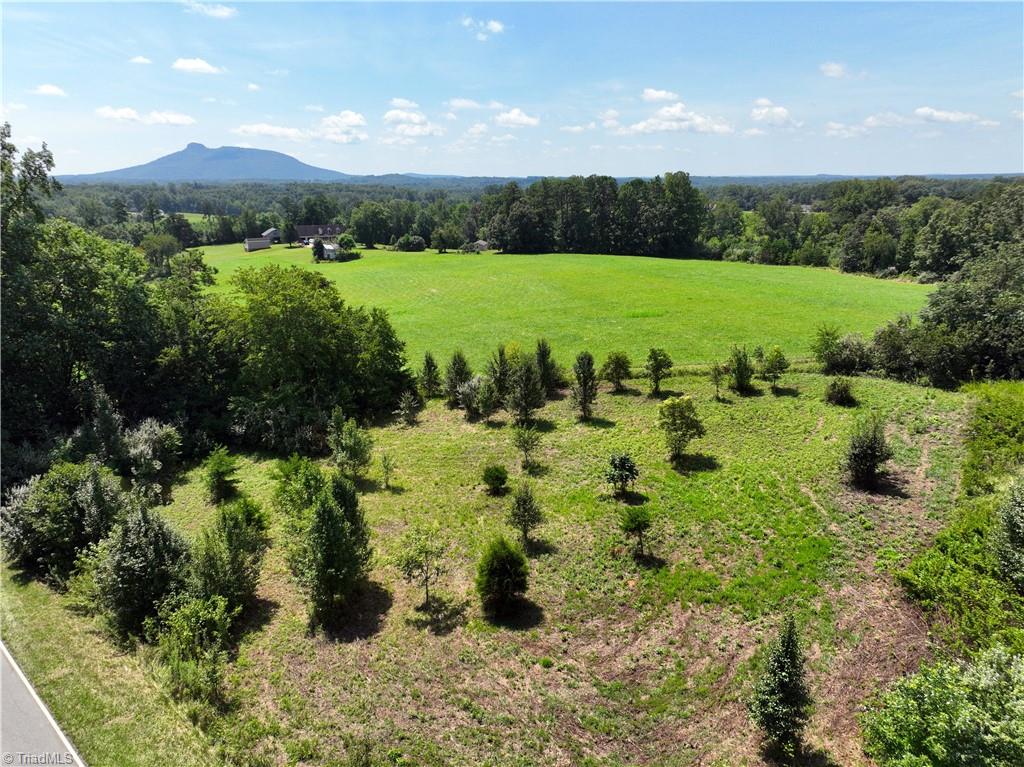 0 Springfield Road Pilot Mountain, NC 27041 - Photo 2 of 6