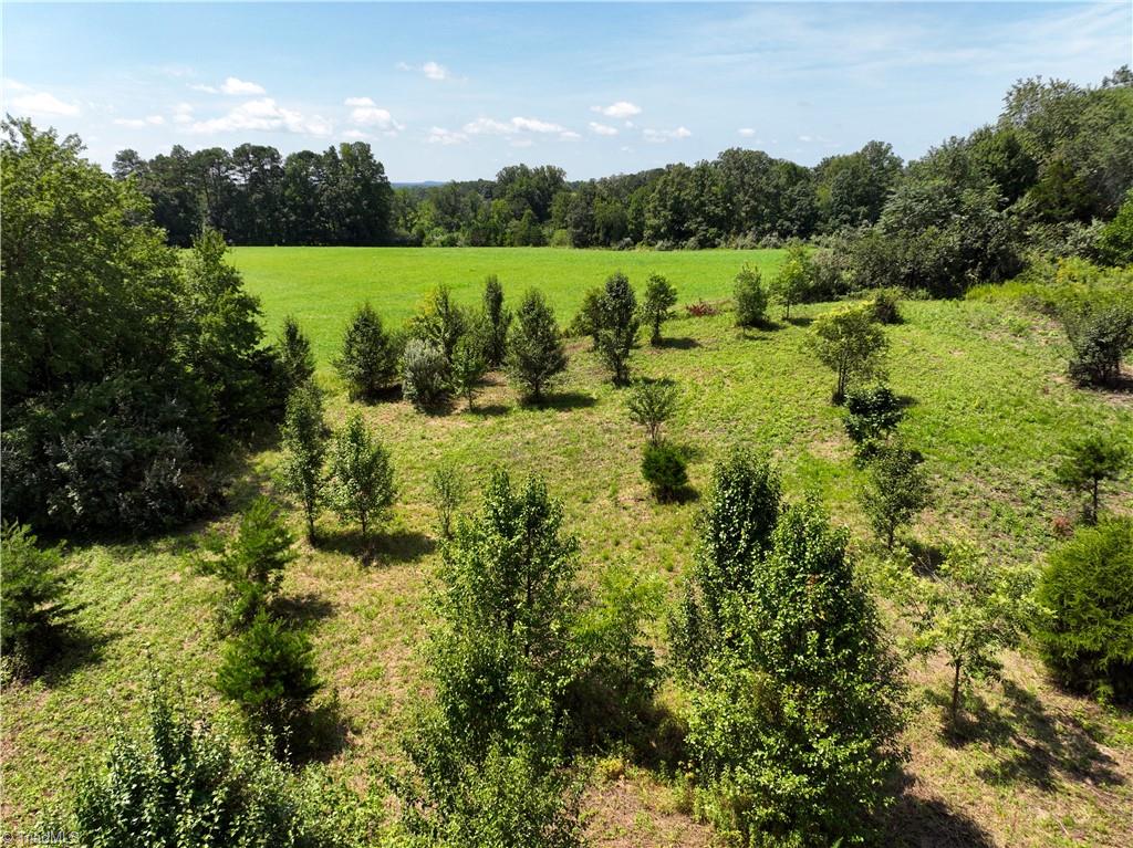 0 Springfield Road Pilot Mountain, NC 27041 - Photo 6 of 6