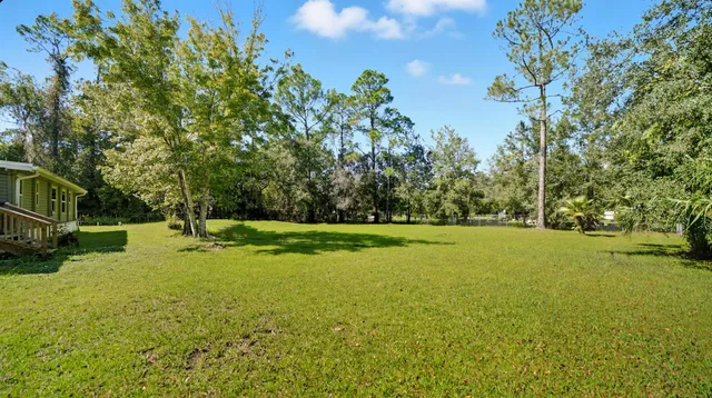 a view of a field with trees in the background