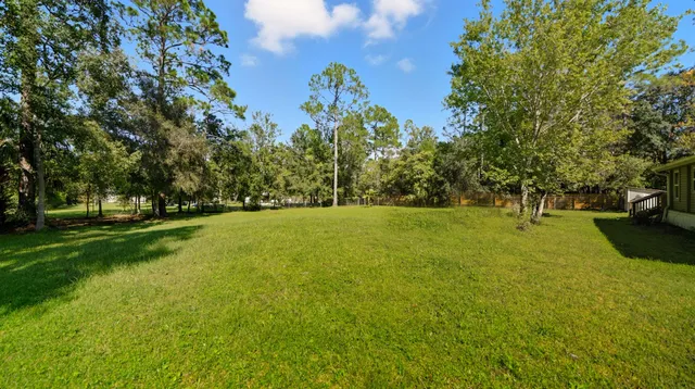 a view of a park with large trees