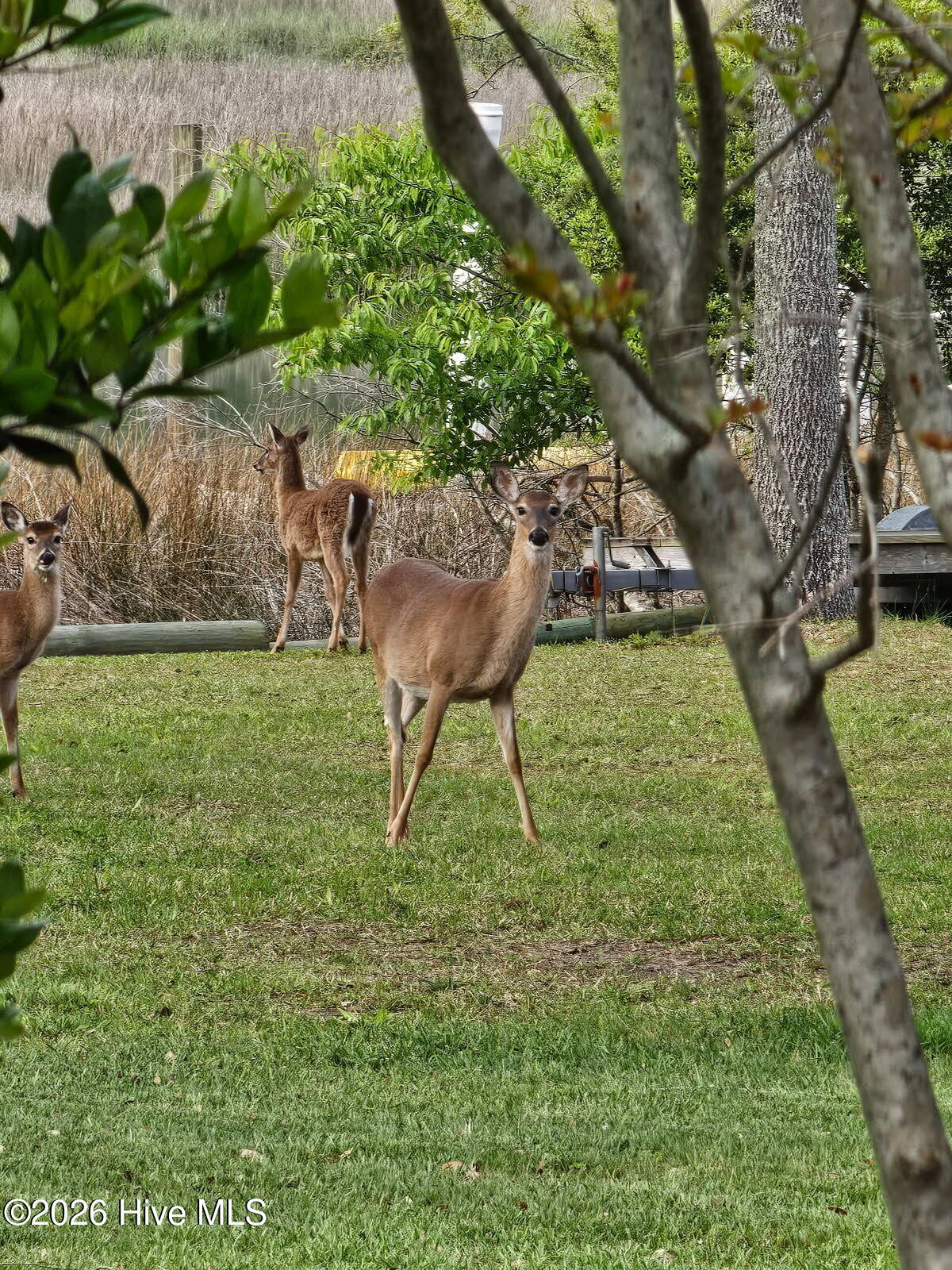 105 White Heron Cove Road Hampstead, NC 28443 - Photo 5 of 5 1000051547