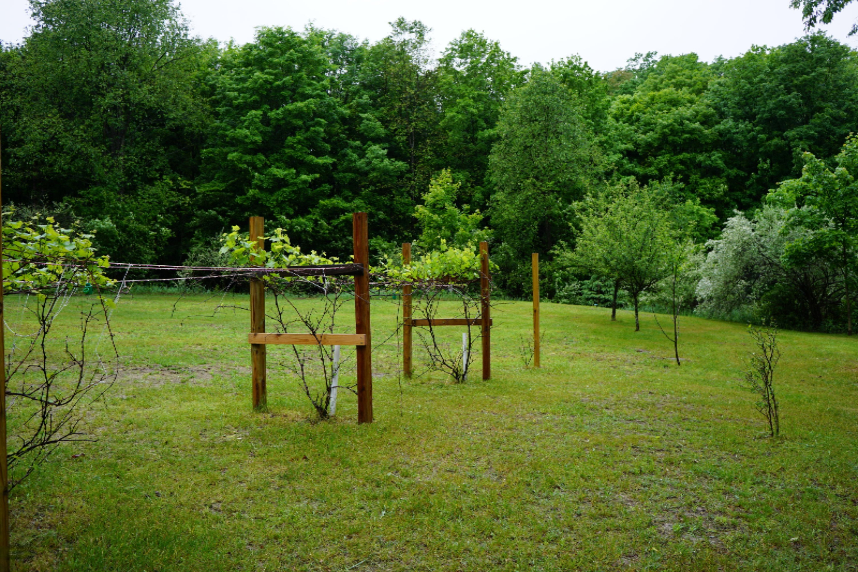 2960 South 13 Road Harrietta, MI 49638 - Photo 59 of 69 DSC01024