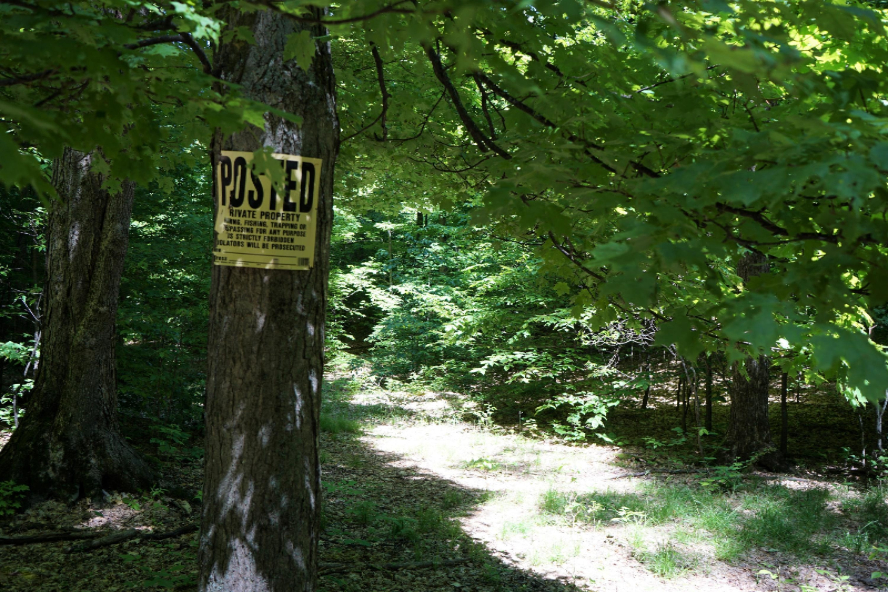 2960 South 13 Road Harrietta, MI 49638 - Photo 65 of 69 DSC01200 (2)
