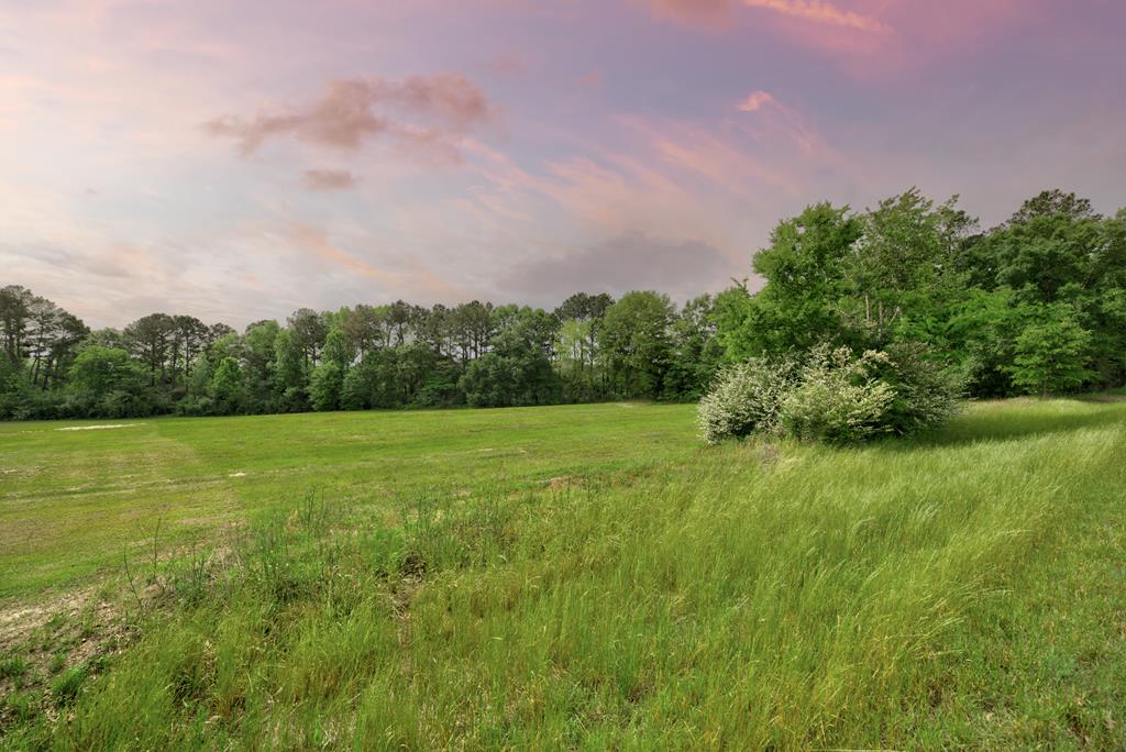 Lot 1 McCord Road Dothan, AL 36301 - Photo 1 of 10