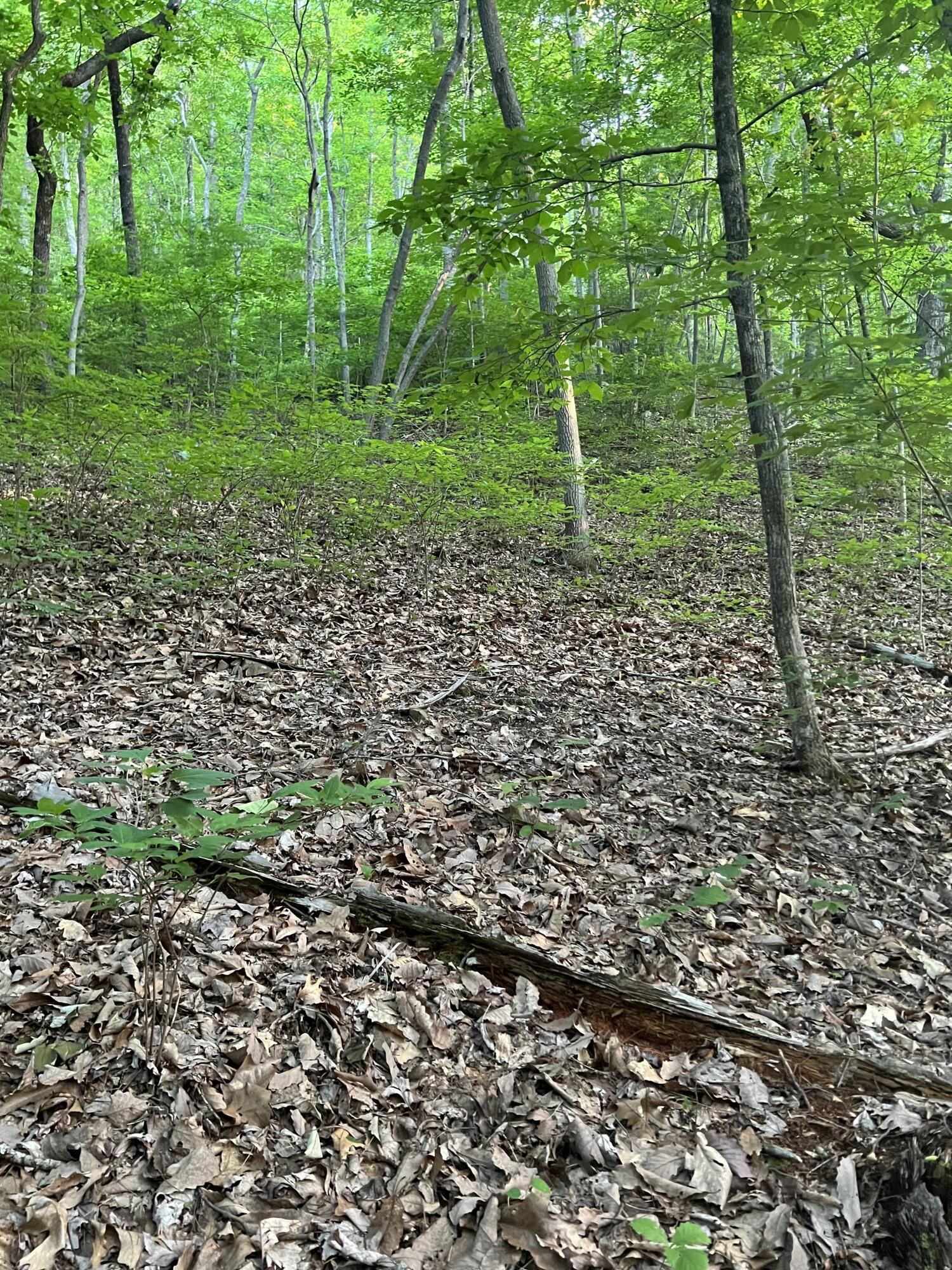 0 Fredonia Road, Unit 10 5 ACRES Dunlap, TN 37327 - Photo 24 of 25 flat site
