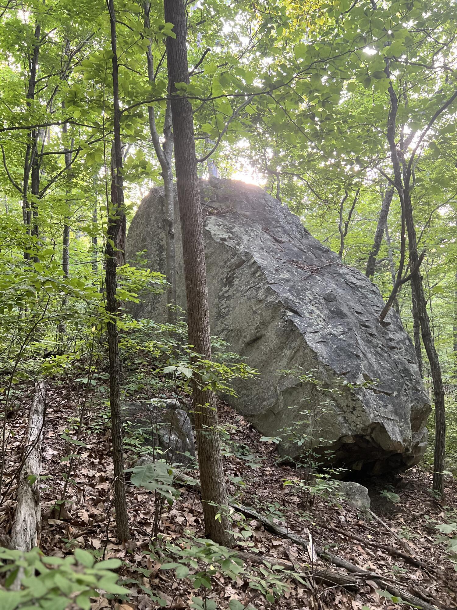 0 Fredonia Road, Unit 10 5 ACRES Dunlap, TN 37327 - Photo 25 of 25 Mountain rock