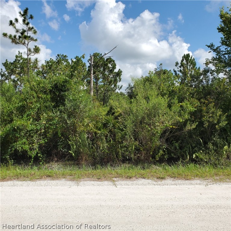 505 Moss Road Venus, FL 33960 - Photo 3 of 5 Gallery Image 3