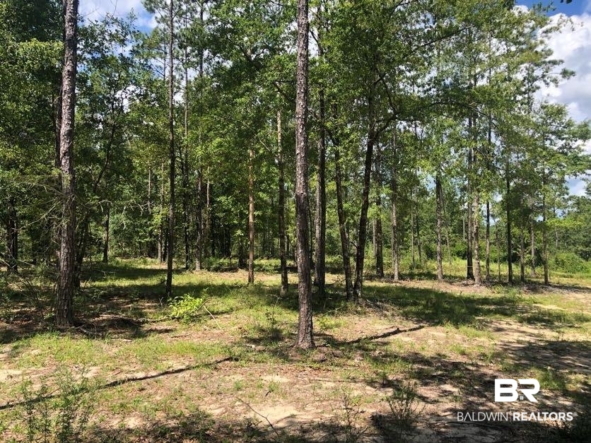12359 Red Hill Rd Extension Bay Minette, AL 36507 - Photo 10 of 16