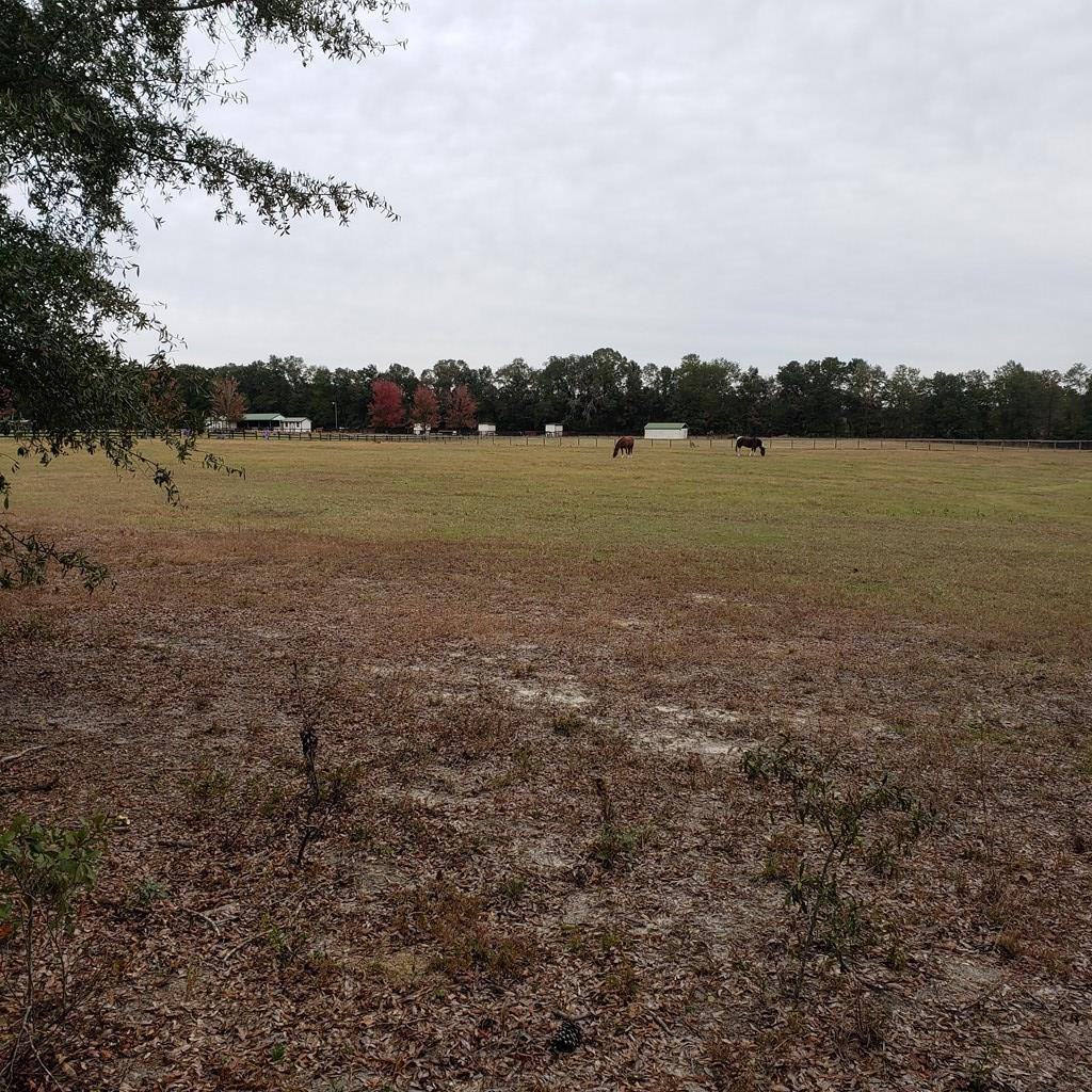 Tbd Tbd Wagener Road Salley, SC 29137 - Photo 6 of 7