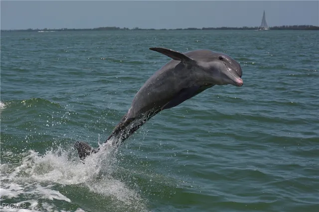 a view of beach and ocean
