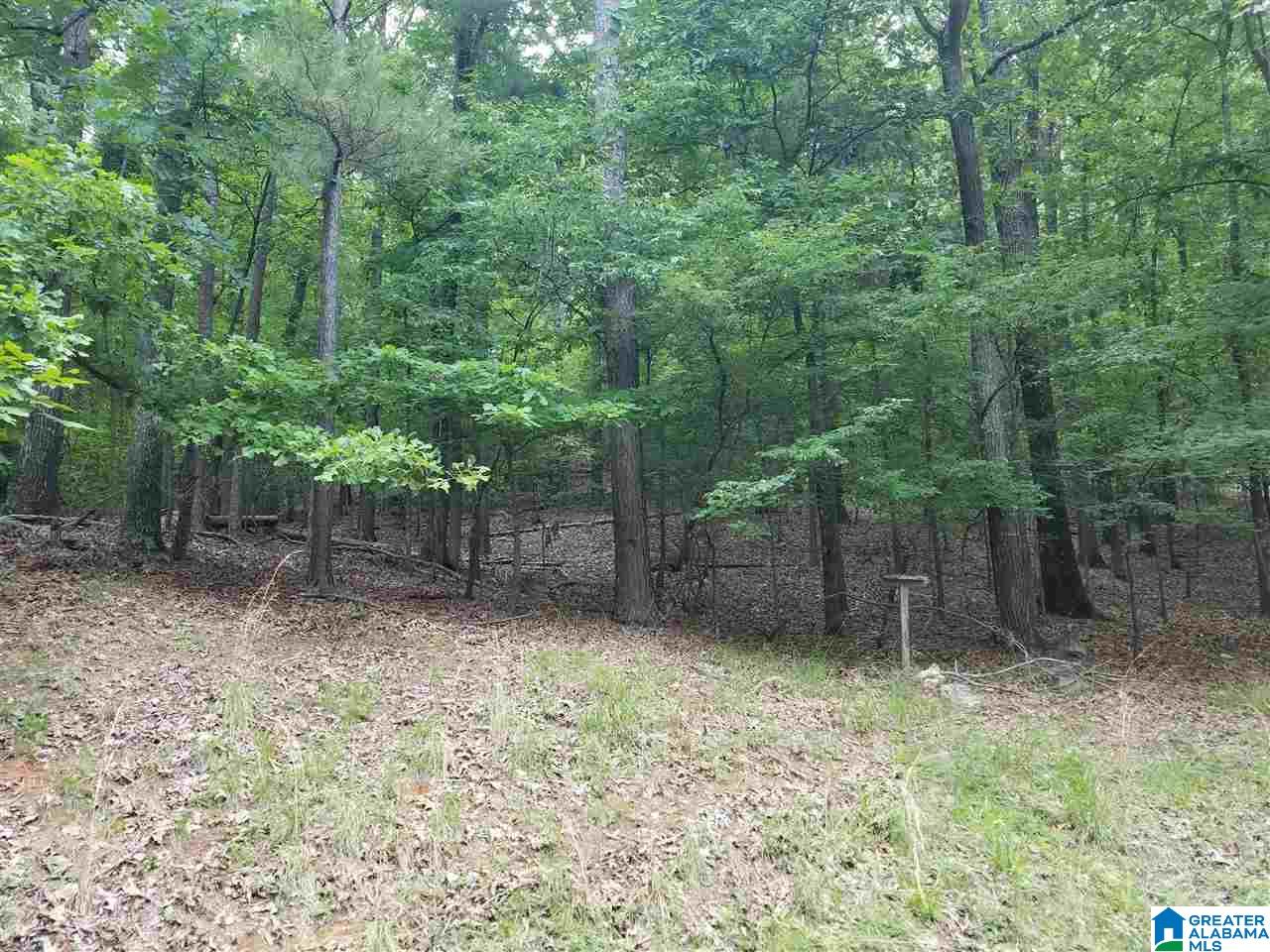 3683 Cahaba Beach Road Birmingham, AL 35242 - Photo 28 of 29