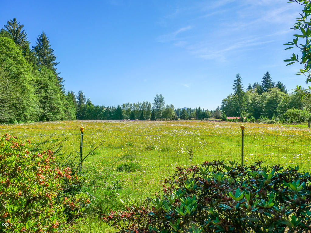847 Hamer Road Siletz, OR 97380 - Photo 46 of 79 Pasture