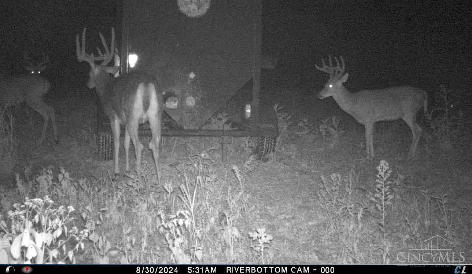 A Enley Road McDermott, OH 45652 - Photo 62 of 97
