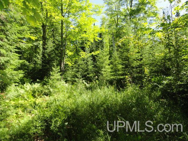 Tbd Tbd Vicks Road Lanse, MI 49946 - Photo 15 of 18