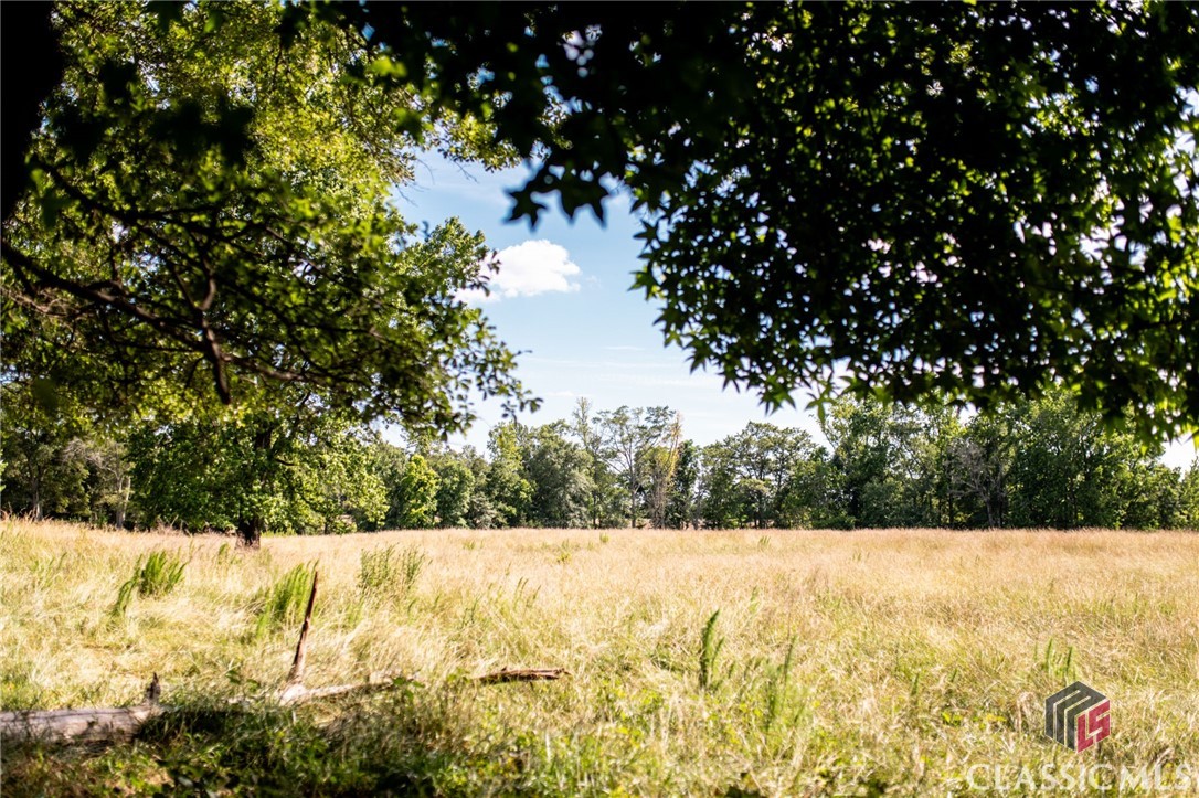 0 Hardeman Mill Road Madison, GA 30650 - Photo 11 of 16 view of meadow from the property