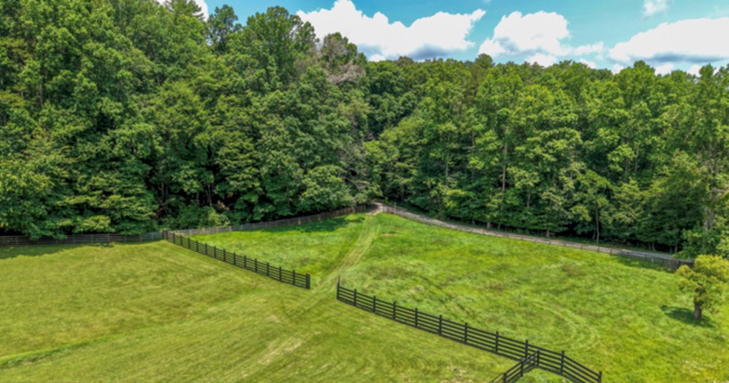 771 Burgess Gap Road Morganton, GA 30560 - Photo 37 of 43 Gallery Image 37