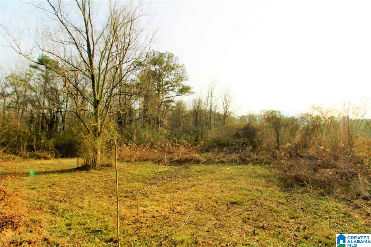 3391 Mudd Street Lincoln, AL 35096 - Photo 27 of 31