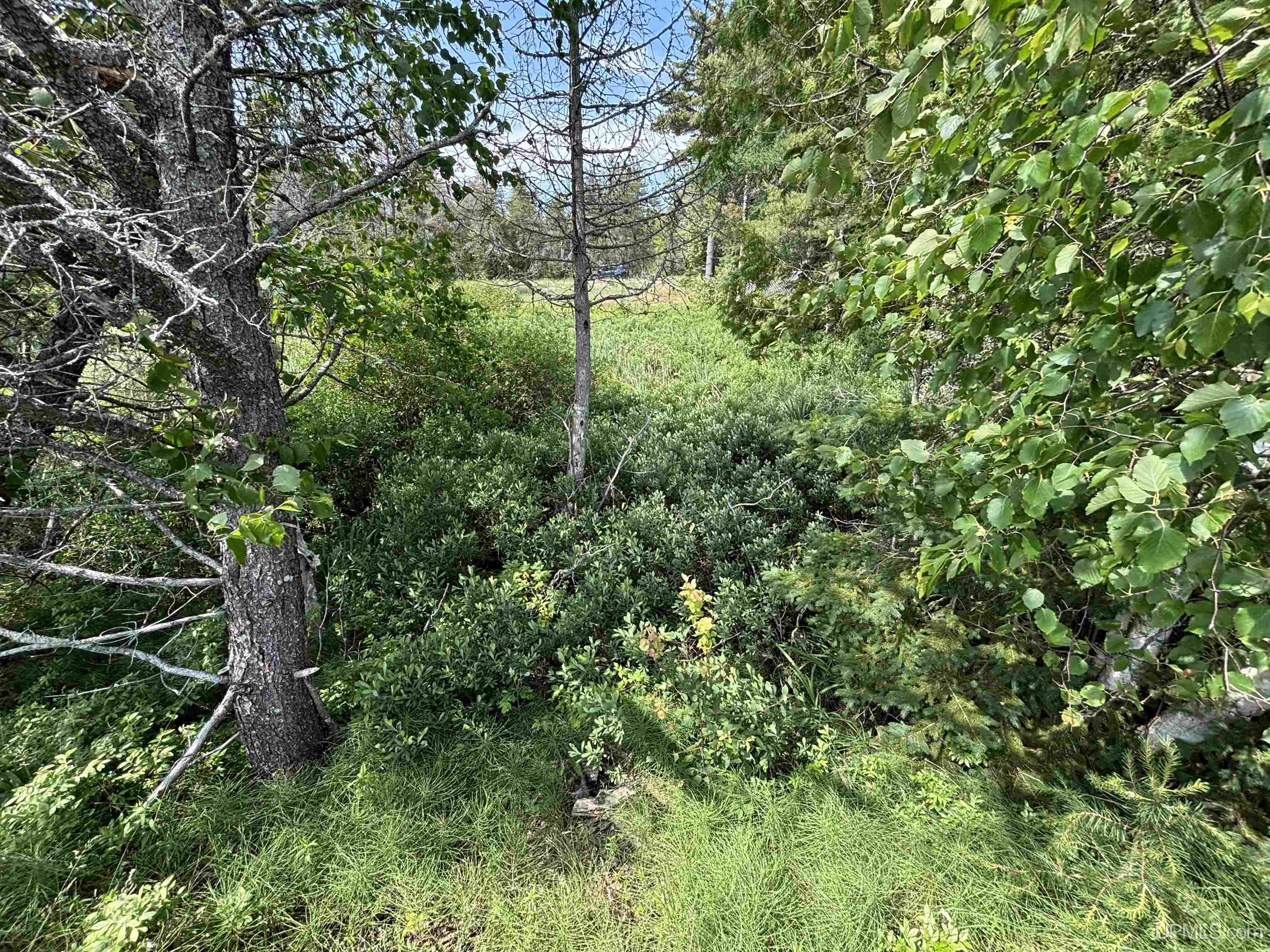 Tbd West Beach Road Naubinway, MI 49762 - Photo 28 of 45