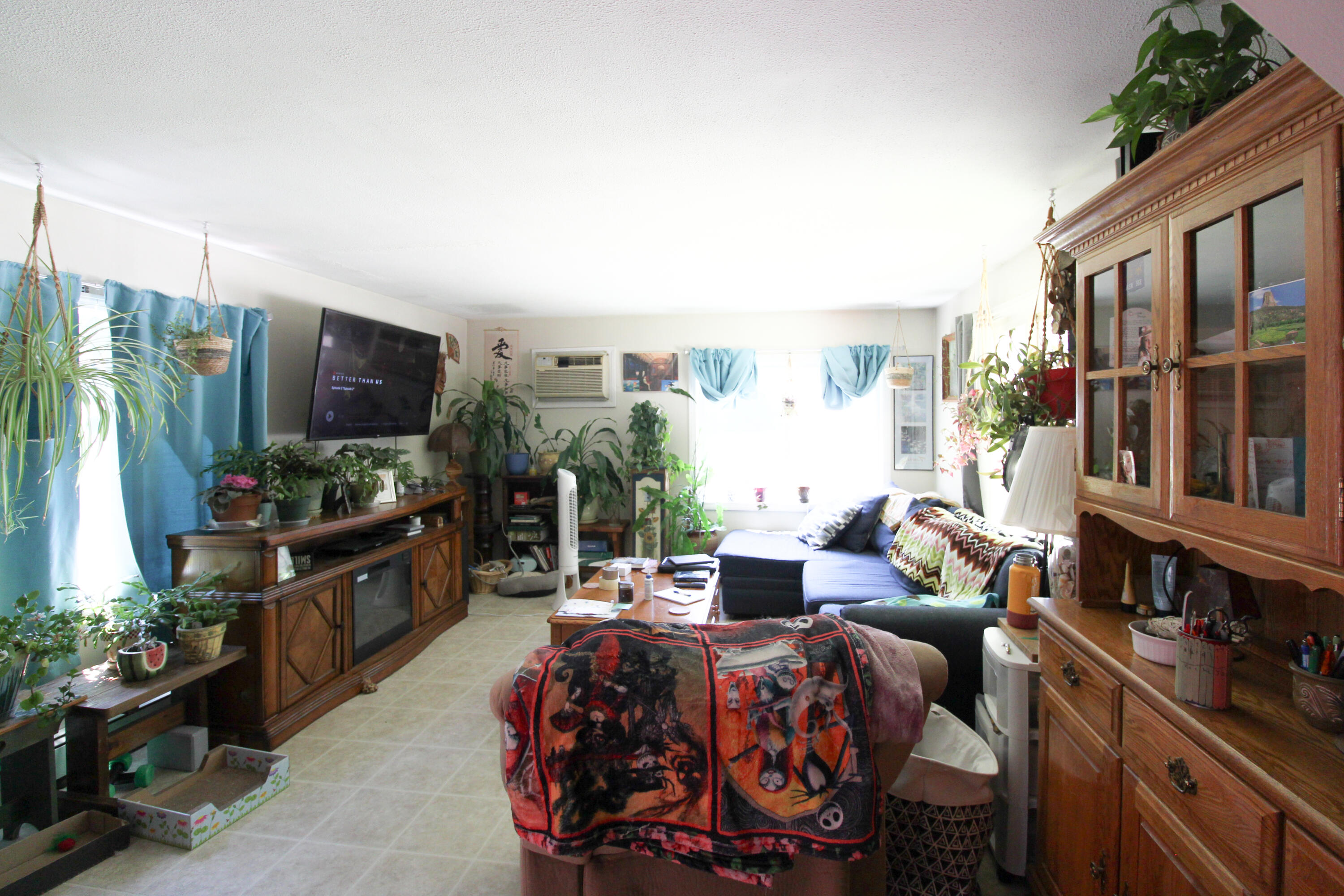 621 River Road Buxton, ME 04093 - Photo 17 of 25 IMG_3287