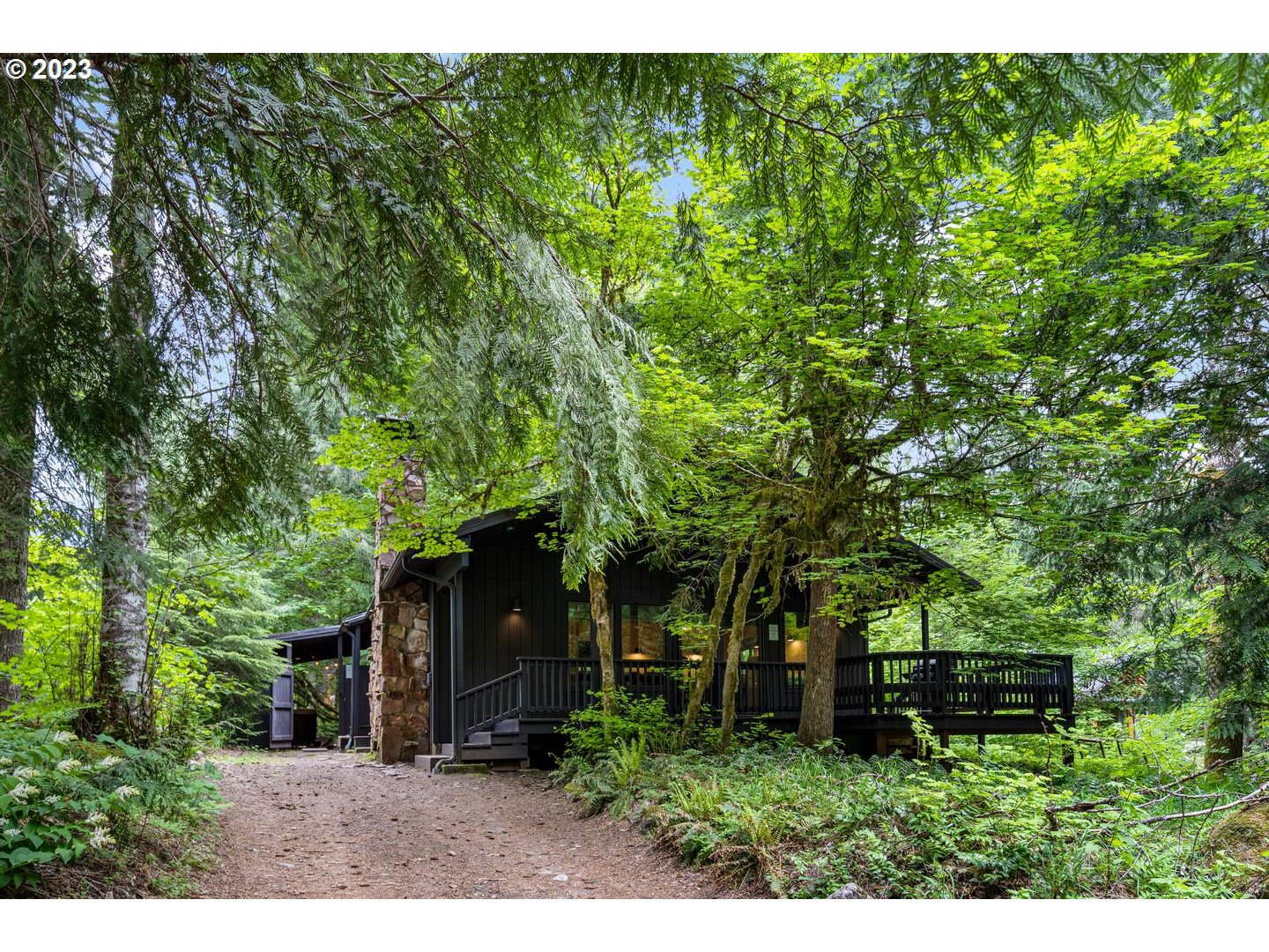 72715 East Village Loop Road Rhododendron, OR 97049 - Photo 3 of 48 a backyard of a house with plants and large tree