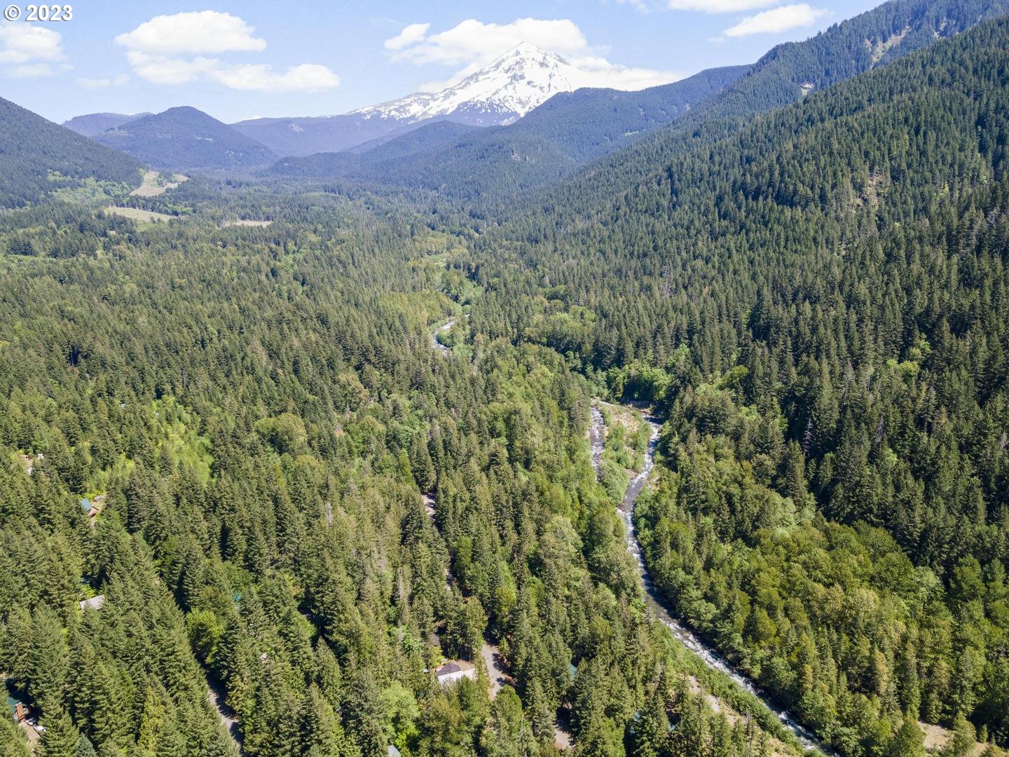 72715 East Village Loop Road Rhododendron, OR 97049 - Photo 46 of 48 a view of a lush green hillside and a mountain