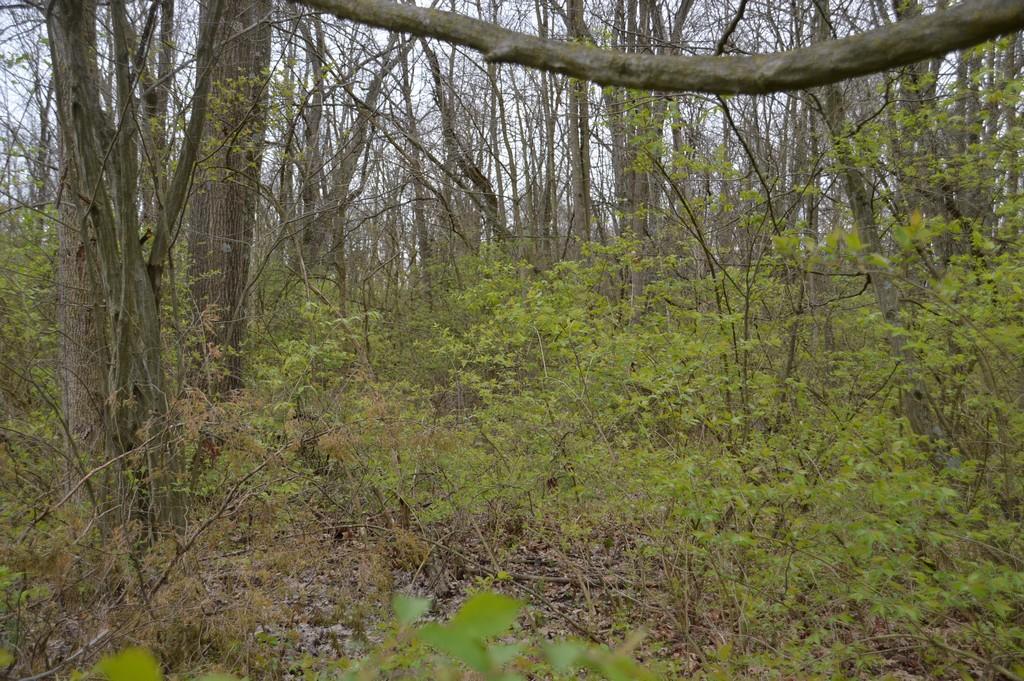 5970 Wheelock Road West Milton, OH 45383 - Photo 8 of 19