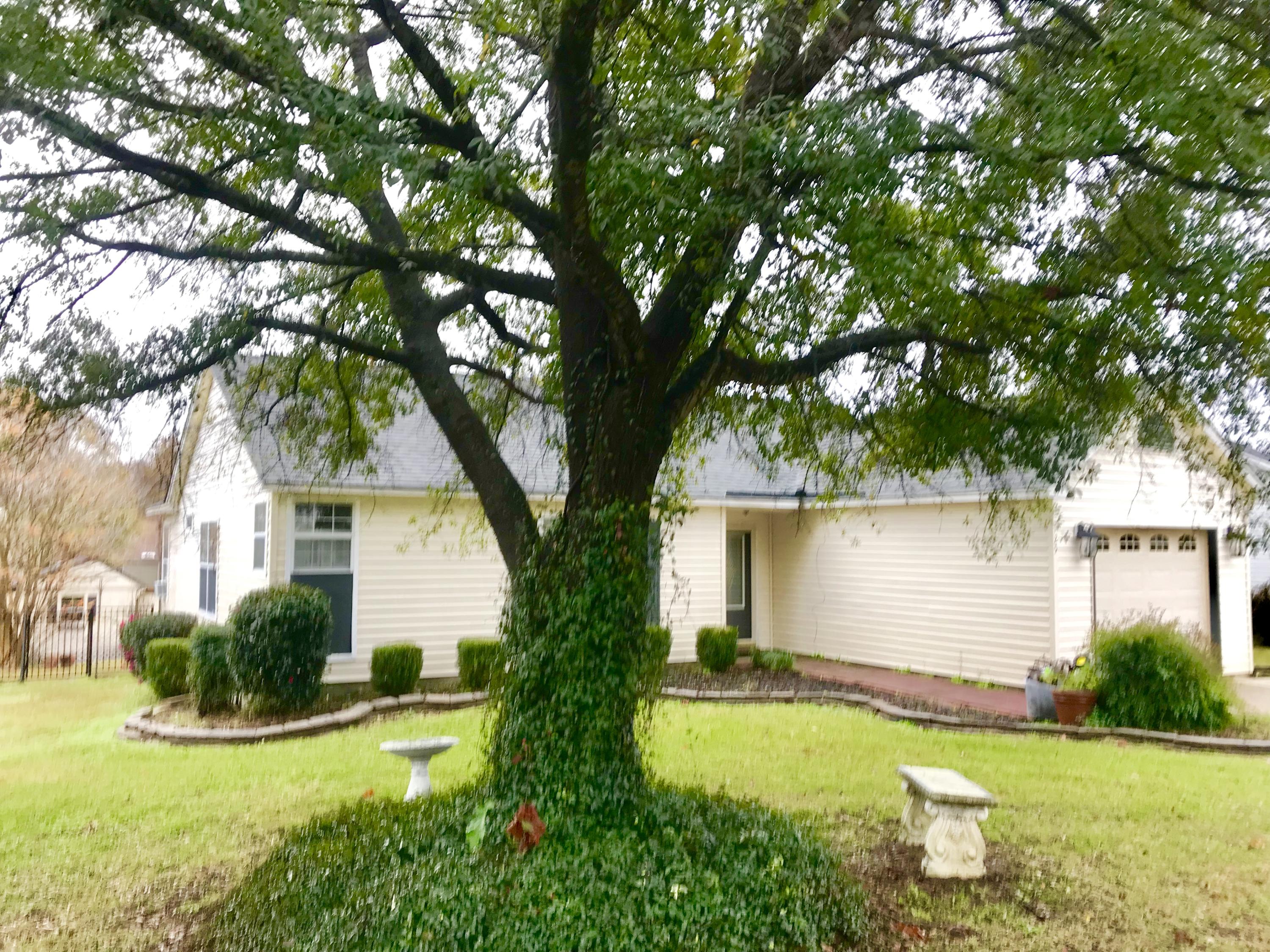 125 Alcester Road Goose Creek, SC 29445 - Photo 5 of 19 Front yard