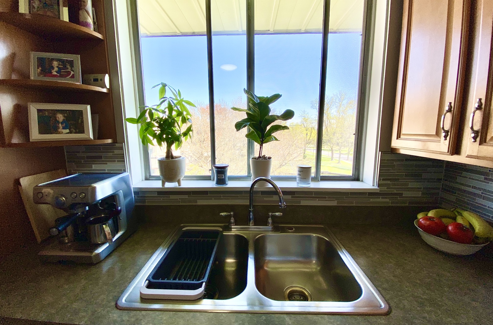 280 North Westgate Road, Unit 427 Mount Prospect, IL 60056 - Photo 11 of 23 a kitchen with a sink and a potted plant