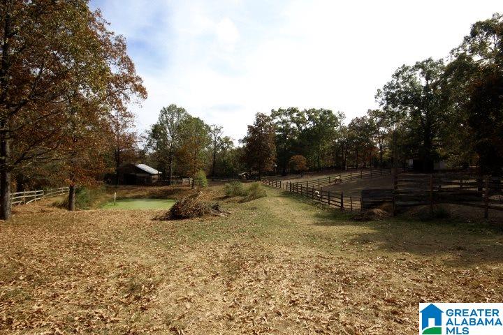 1200 Camp Branch Road Alabaster, AL 35007 - Photo 16 of 50