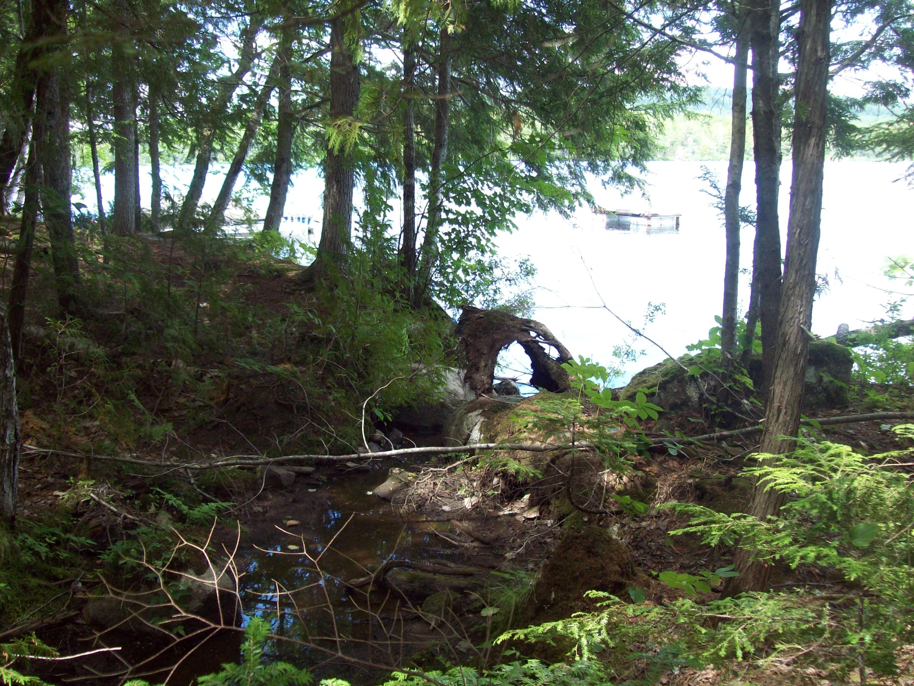 Tbd Egg Pond Road Lincoln, ME 04457 - Photo 5 of 10 100_0926