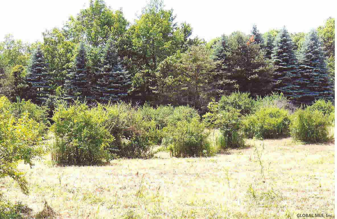 381 Blossom Road Hebron, NY 12865 - Photo 6 of 13 Photo 6