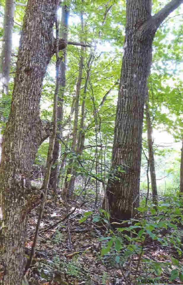 381 Blossom Road Hebron, NY 12865 - Photo 8 of 13 Photo 8