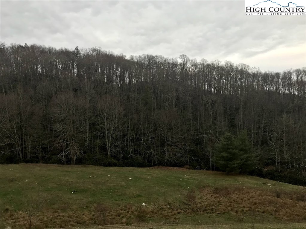 1720 Rock Fence Road Creston, NC 28615 - Photo 15 of 41 Gallery Image 15