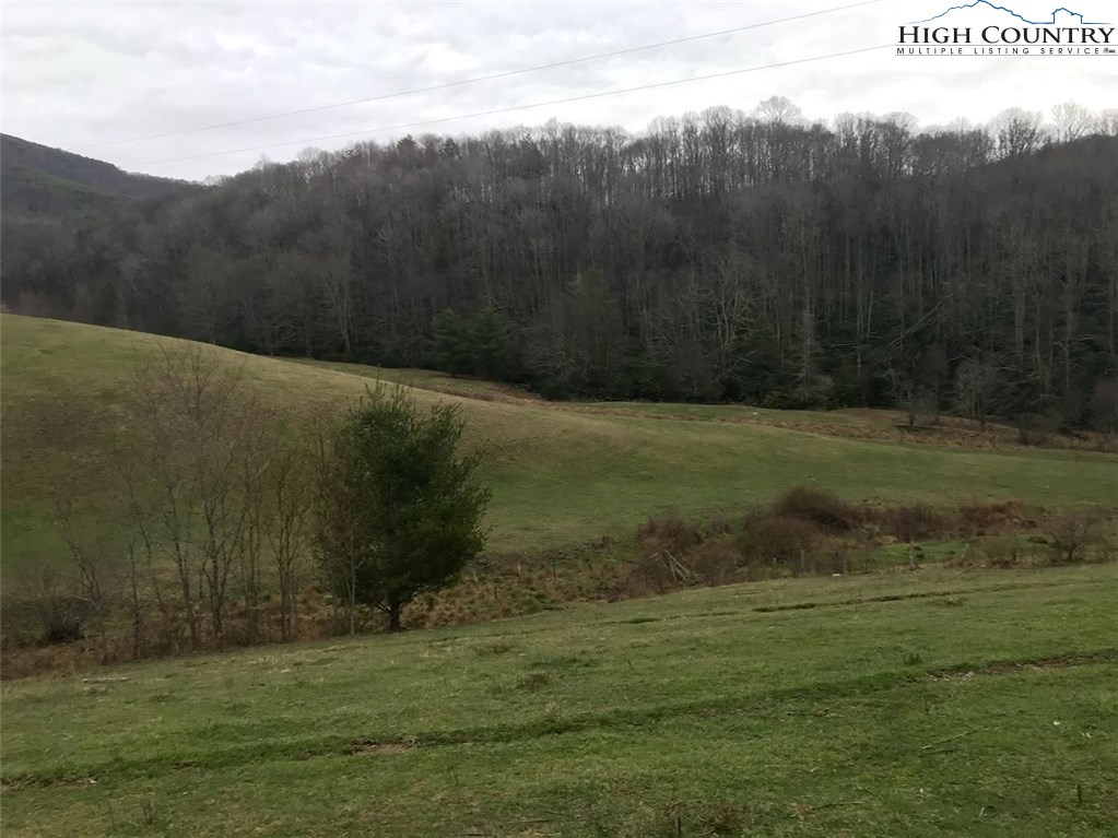 1720 Rock Fence Road Creston, NC 28615 - Photo 17 of 41 Gallery Image 17