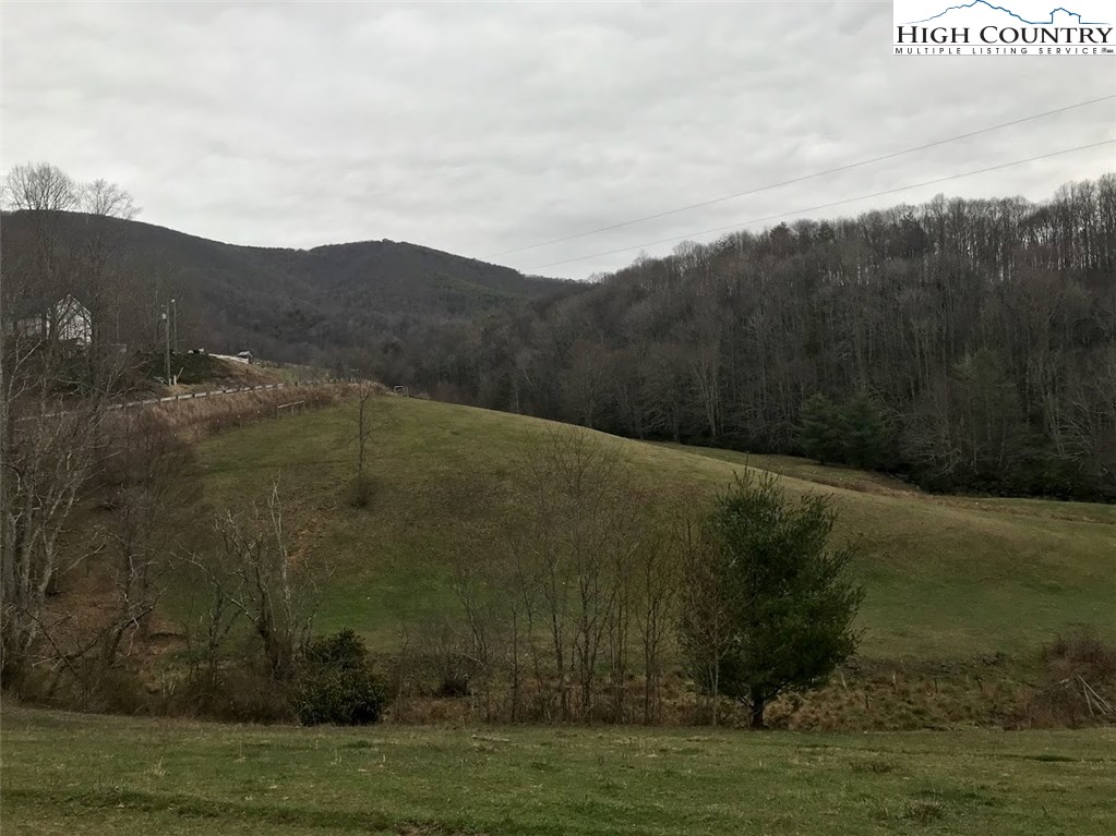 1720 Rock Fence Road Creston, NC 28615 - Photo 18 of 41 Gallery Image 18