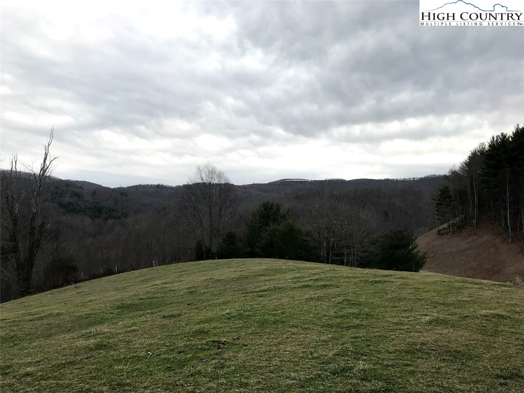 1720 Rock Fence Road Creston, NC 28615 - Photo 19 of 41 Gallery Image 19