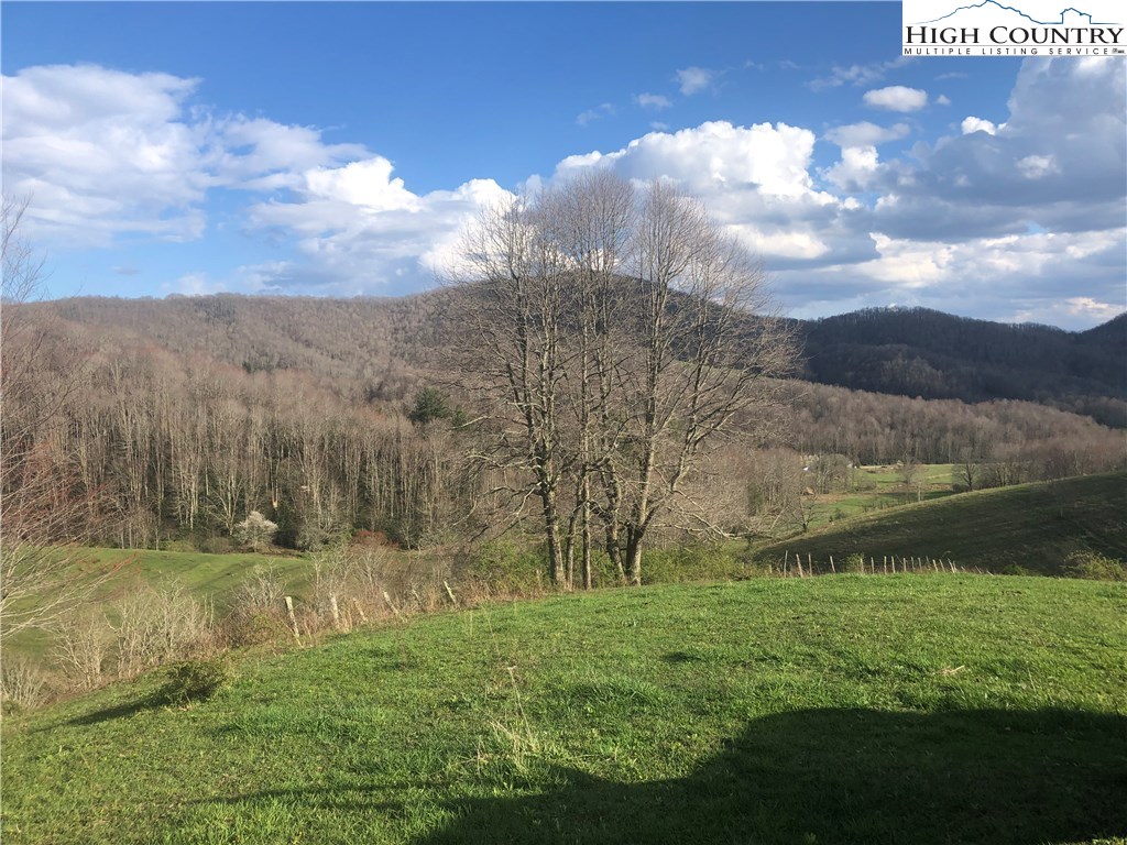 1720 Rock Fence Road Creston, NC 28615 - Photo 2 of 41 Gallery Image 2