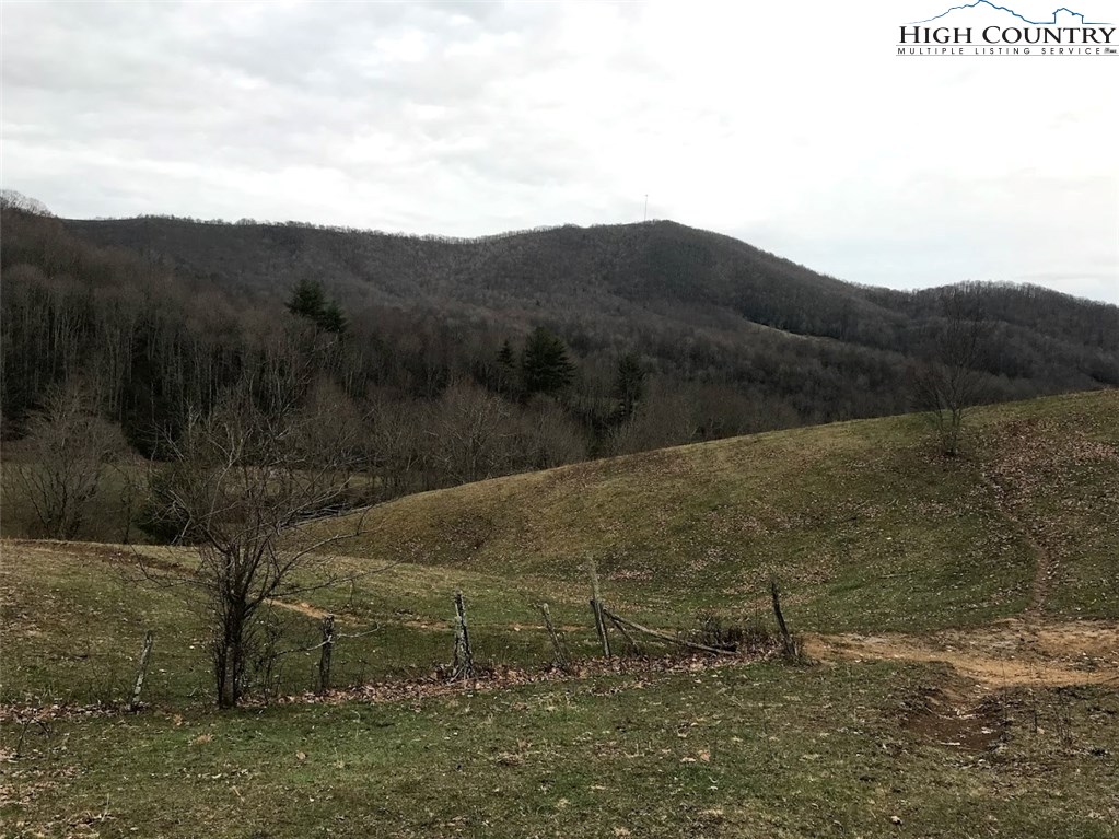 1720 Rock Fence Road Creston, NC 28615 - Photo 22 of 41 Gallery Image 22