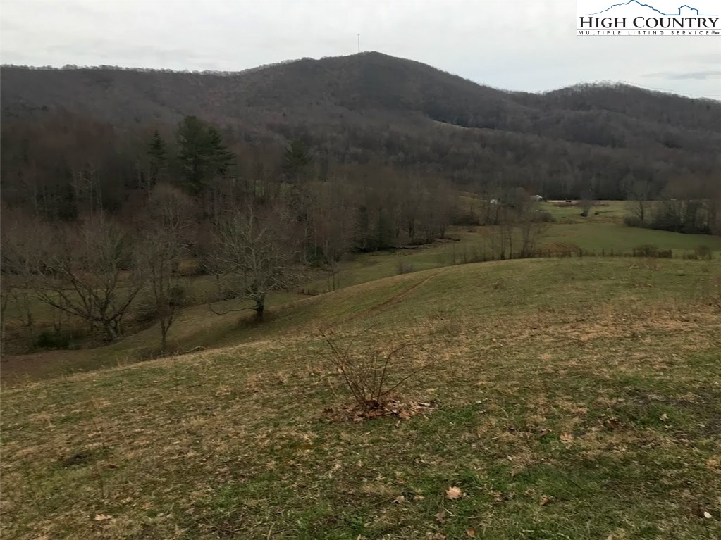 1720 Rock Fence Road Creston, NC 28615 - Photo 23 of 41 Gallery Image 23