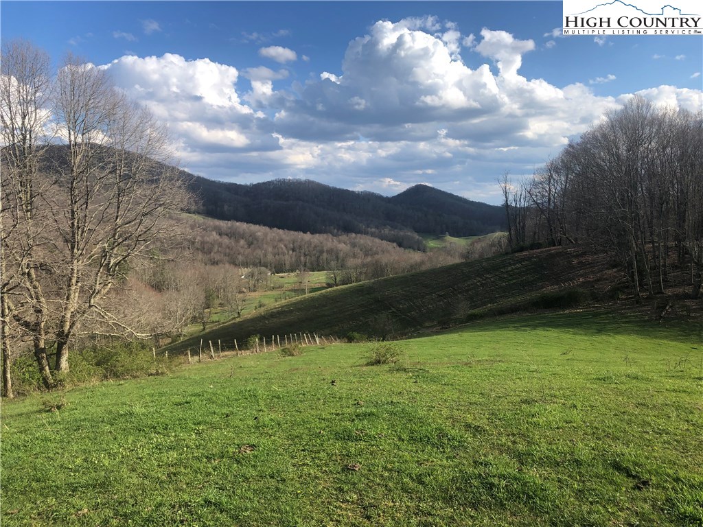 1720 Rock Fence Road Creston, NC 28615 - Photo 3 of 41 Gallery Image 3