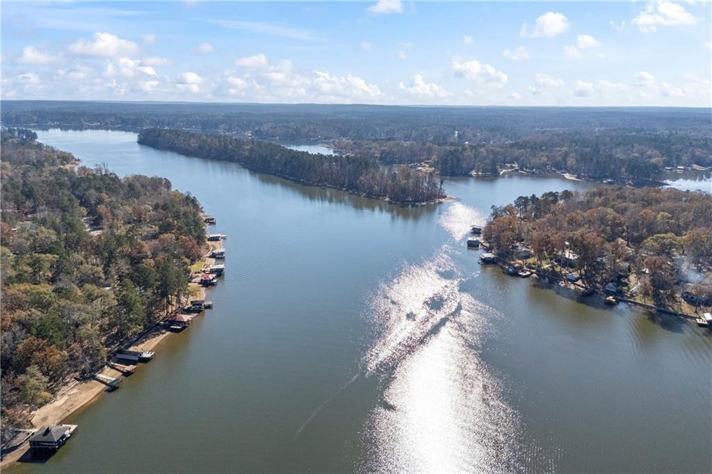 243 Bluegill Road Eatonton, GA 31024 - Photo 135 of 144 a view of a lake in middle of forest