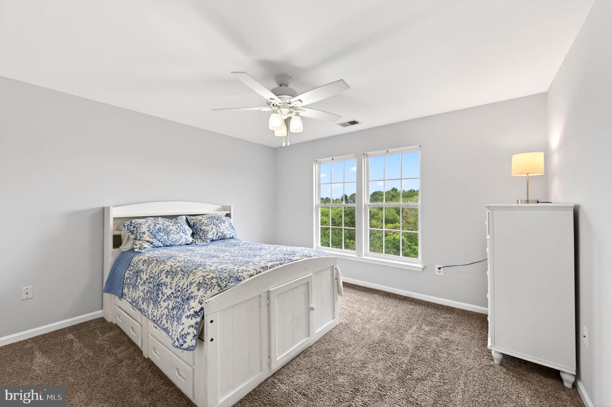 8 North Pointe Terrace Middletown, MD 21769 - Photo 39 of 74 a bedroom with a bed and a large window with a flat screen tv